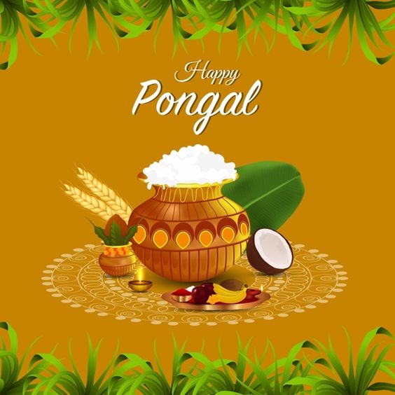 Happy Pongal 2024: 65+ Wishes, Images, Quotes to Share on WhatsApp ...