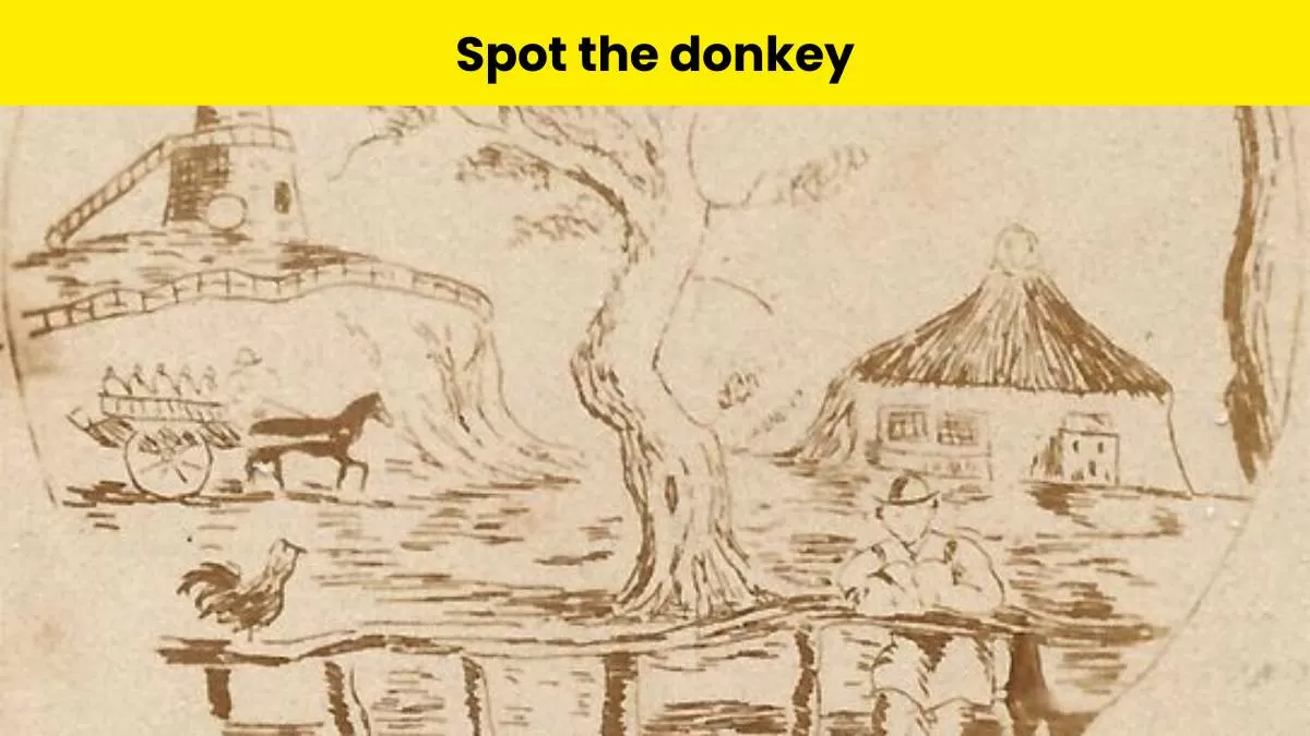 Can you spot the donkey in the village?                       