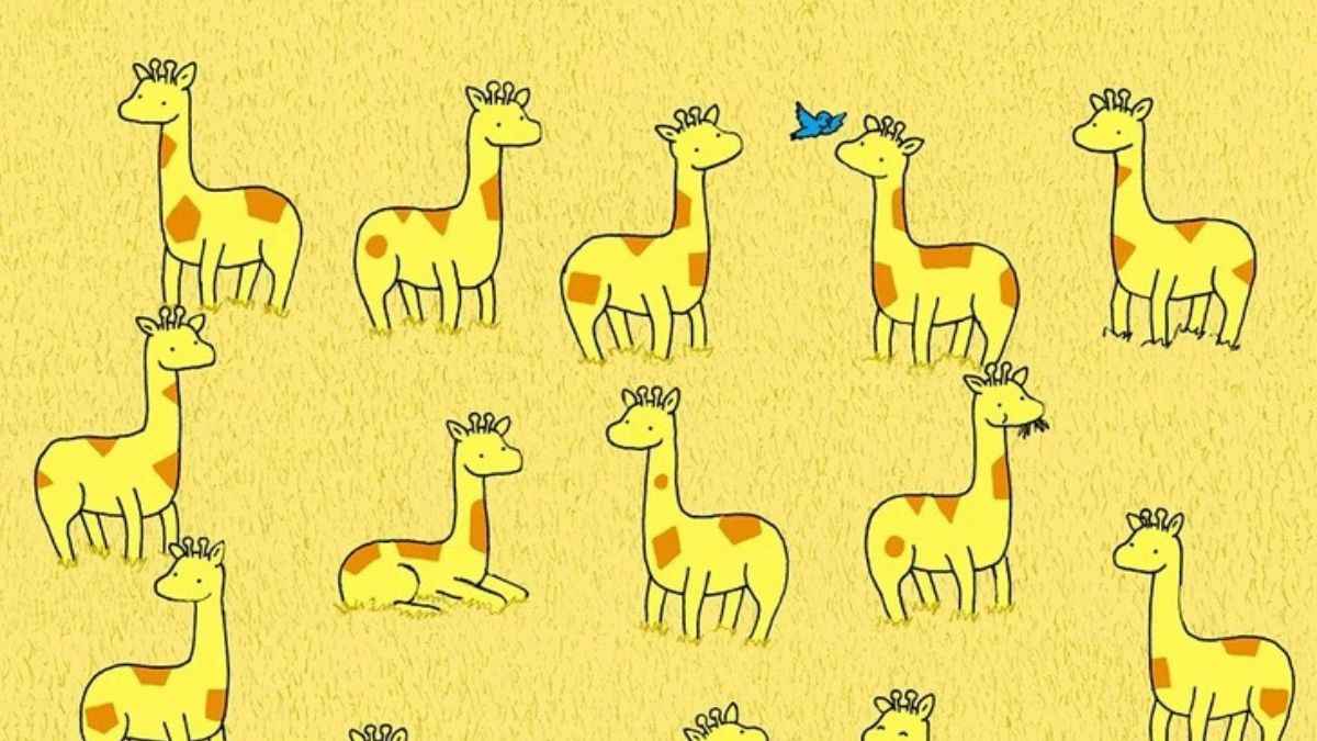 Optical Illusion: Find the different looking giraffe in the picture in 7 seconds!