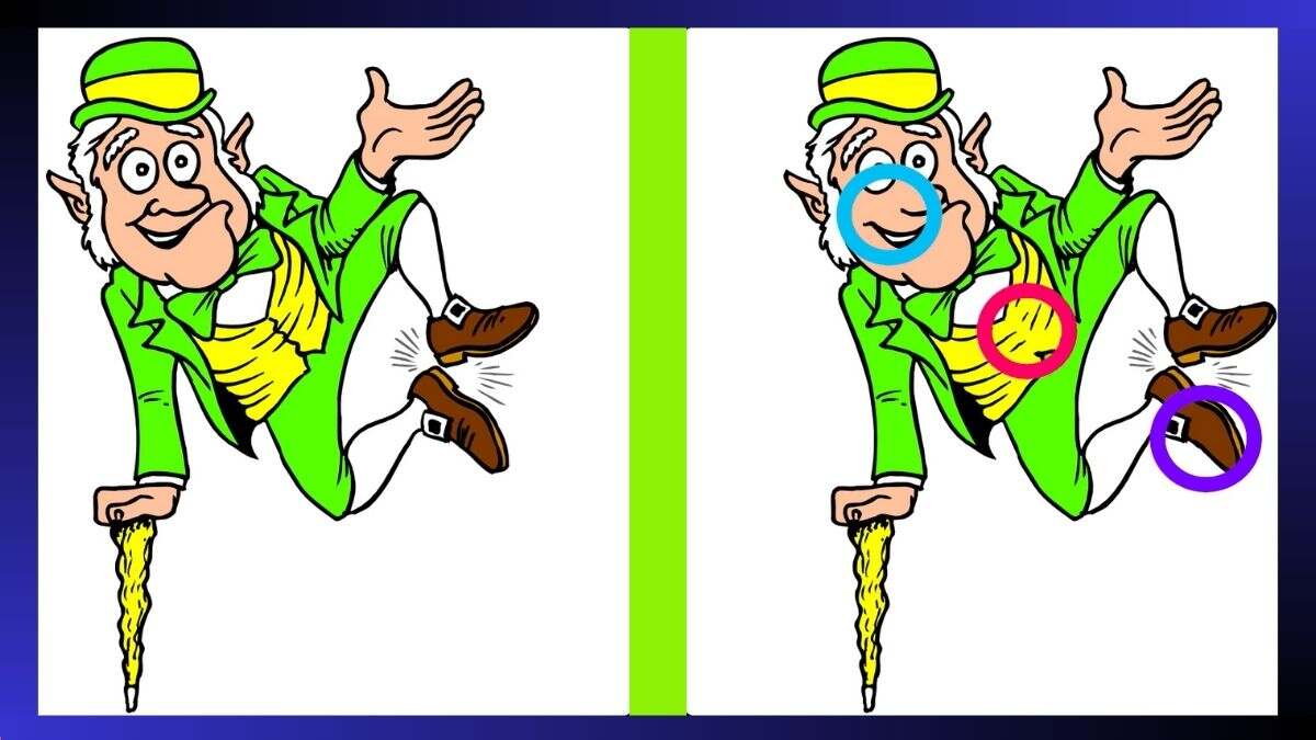 Spot 3 Differences Within 31 Seconds