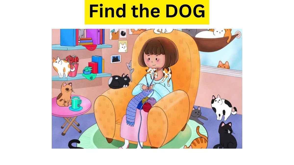 Only 5% SMART People Can Find The DOG Among CATS In 5 Seconds. Try Your Luck!
