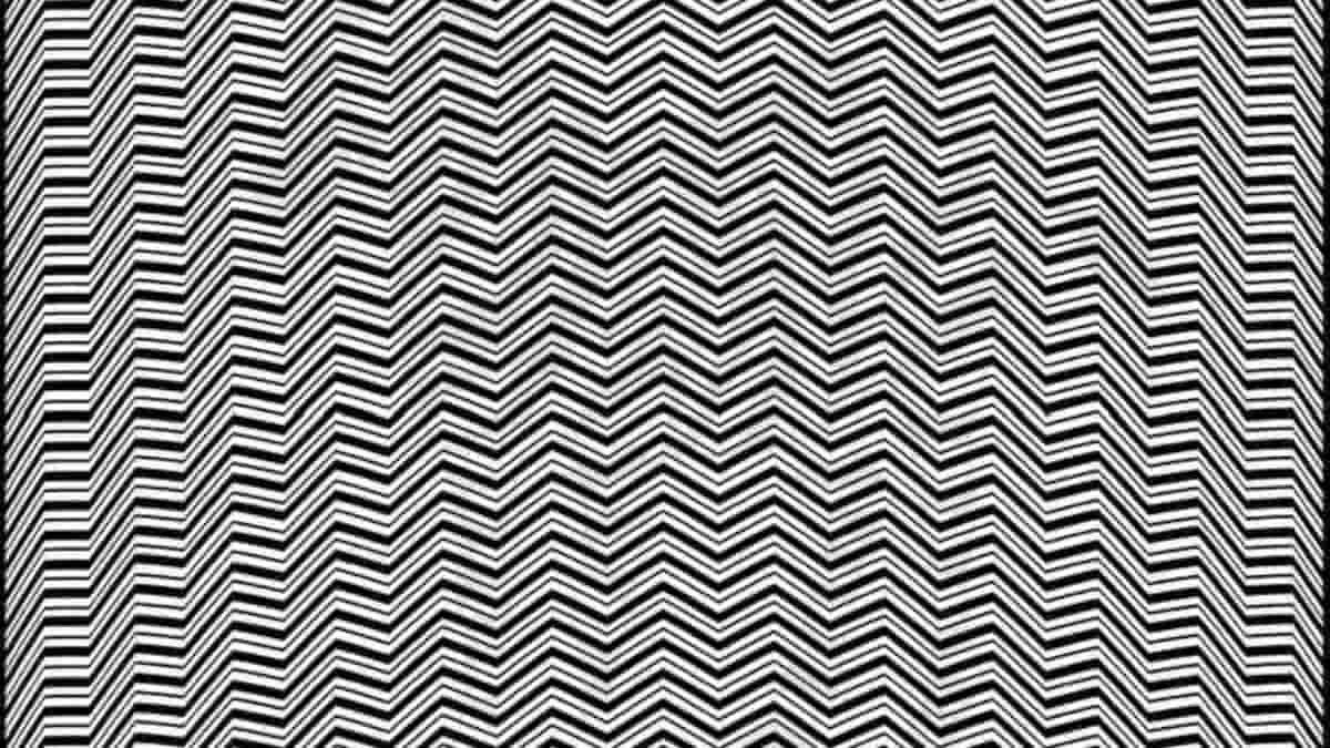 You have hawk eyes if you can find the hidden animal in the picture in 5 seconds!