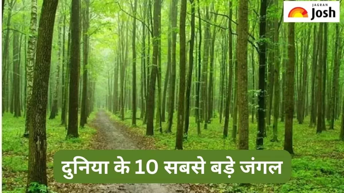 10 सबसे बड़े जंगल