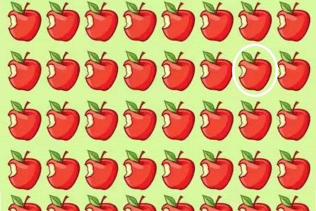 optical illusions with answers