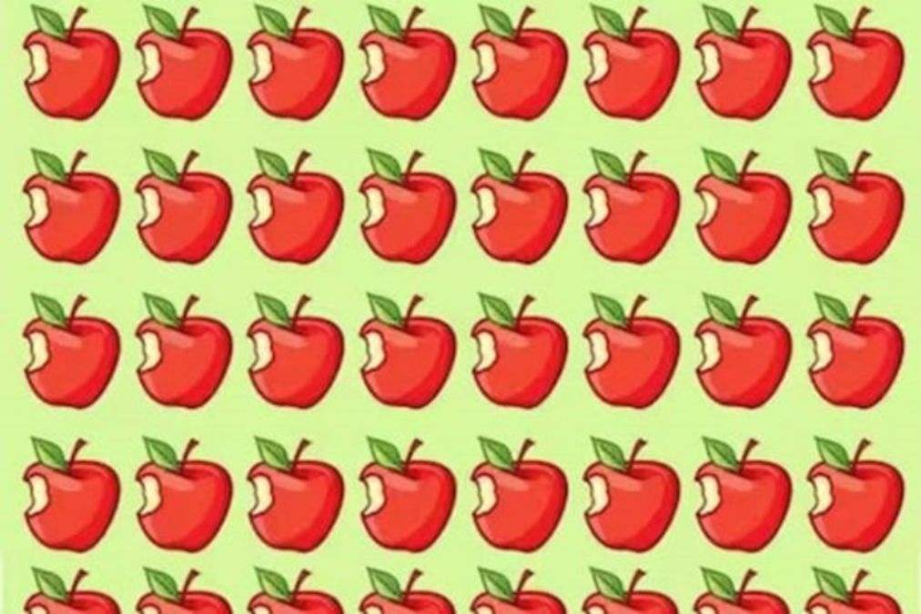 hidden optical illusions