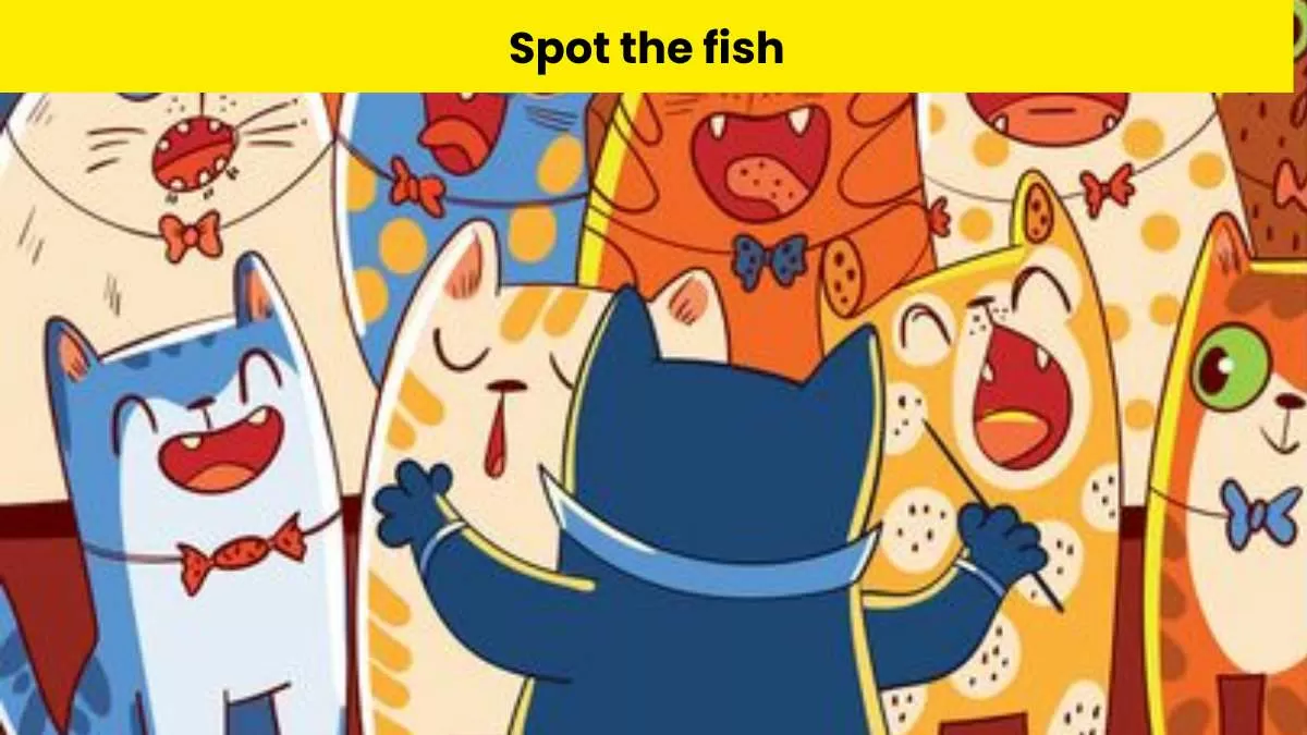Spot the fish hidden in the cat choir picture