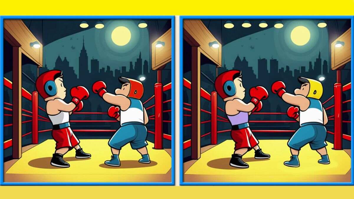 Spot 6 Differences Within 24 Seconds