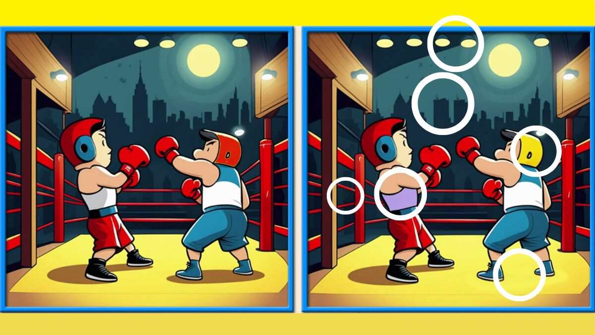 Spot 6 Differences Within 24 Seconds