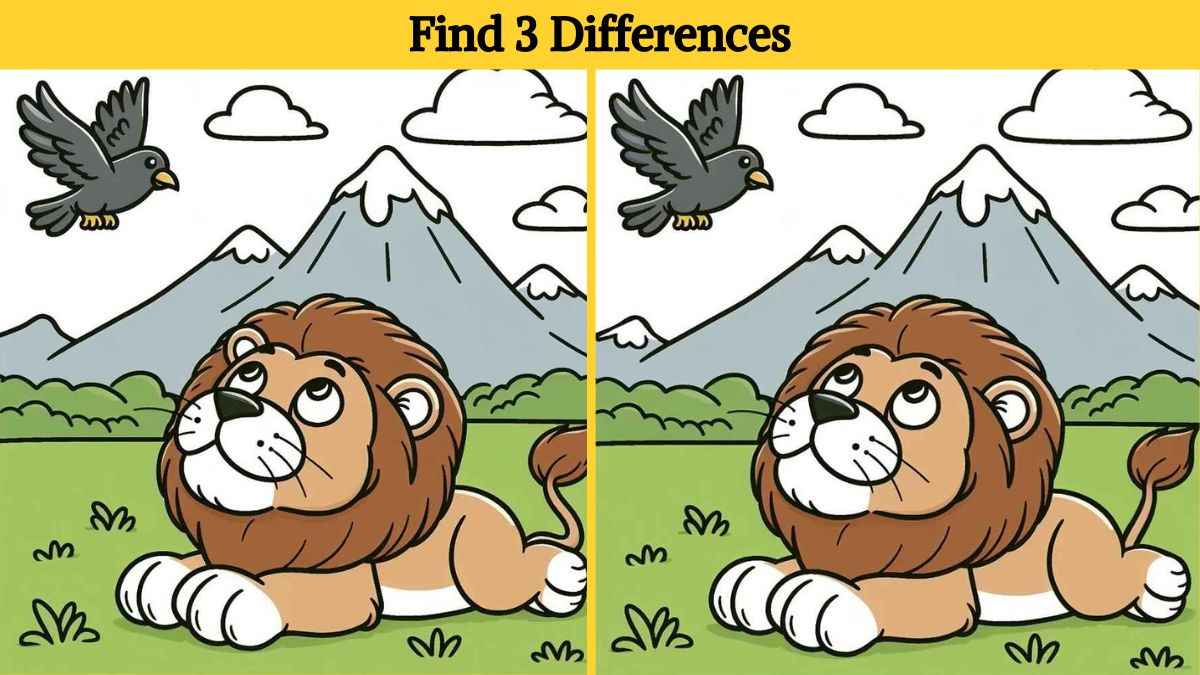 Find 3 differences between the lion and crow pictures in 17 seconds!