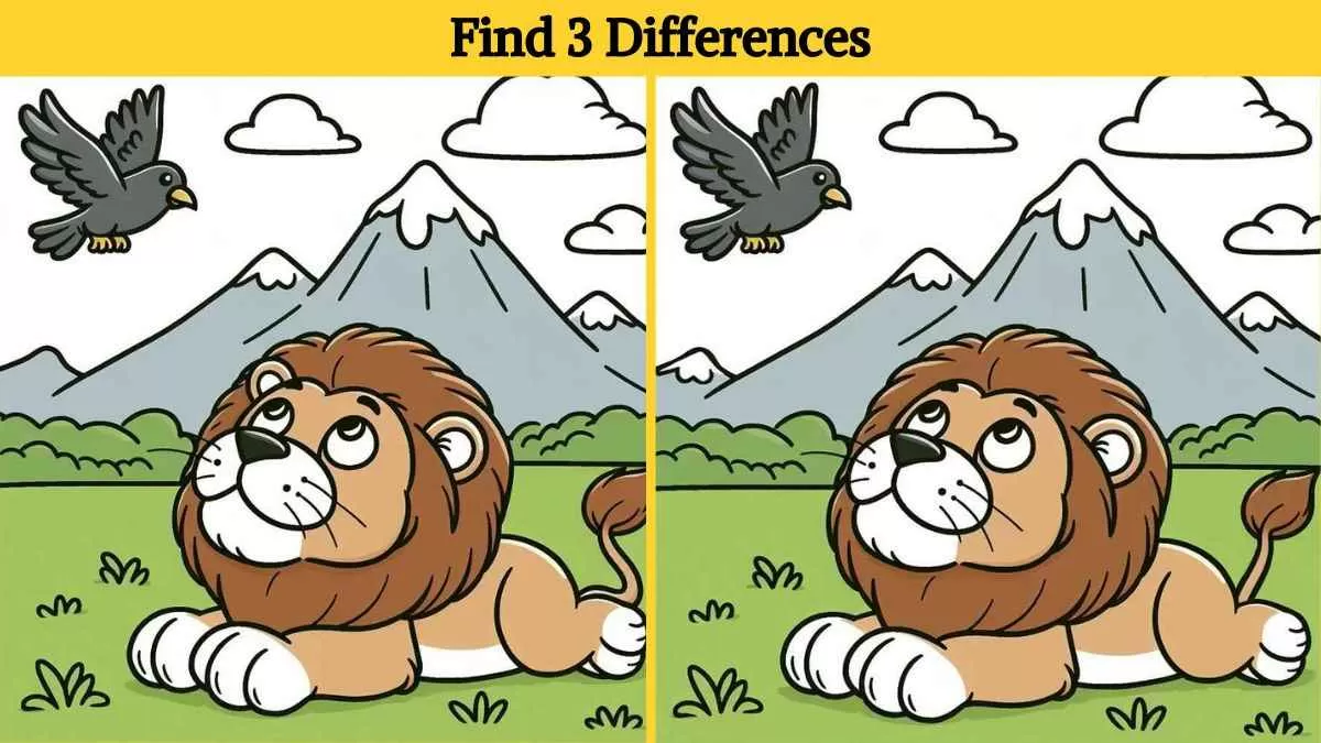 Find 3 differences in 17 seconds