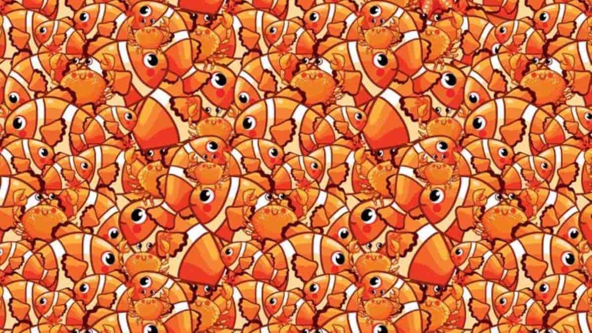 Use your eagle eyes to find a starfish among crabs and clownfish in 9 seconds! 