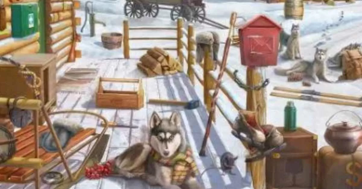 Seek and Find: Can You Spot the Hidden Bear 
