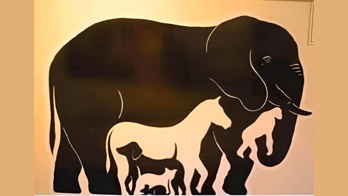 Only the sharpest eyes can find six animal faces in the picture in 6 seconds!