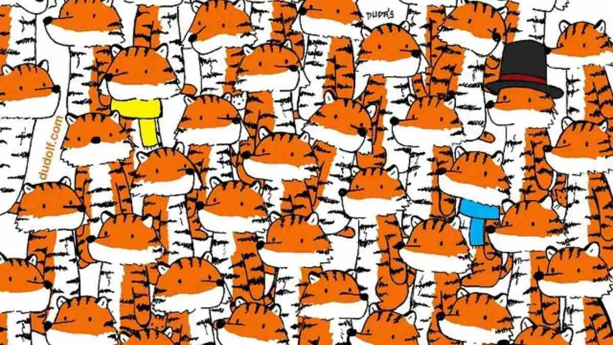 Can you spot four cats?