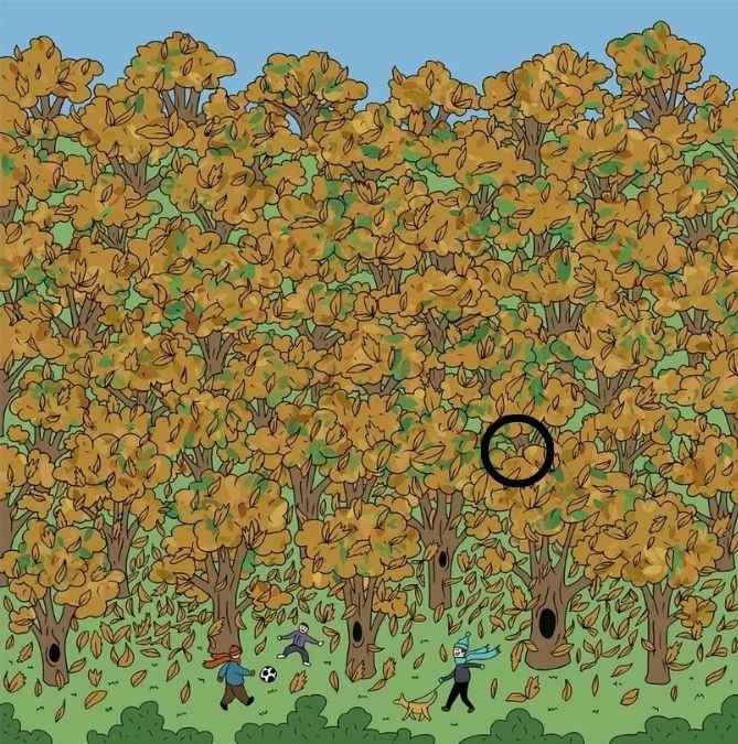 picture puzzles with answers