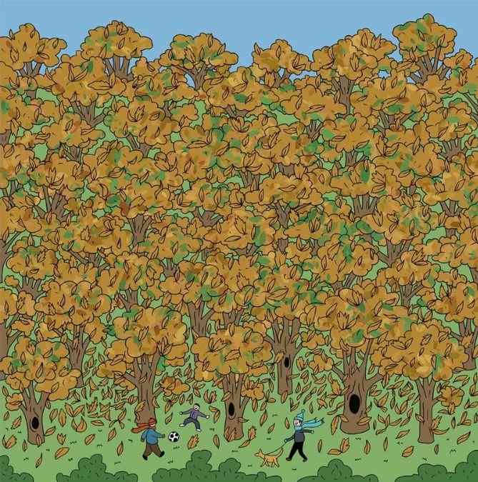 picture puzzles to test iq