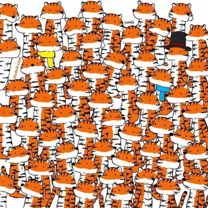 optical illusions pictures with hidden images