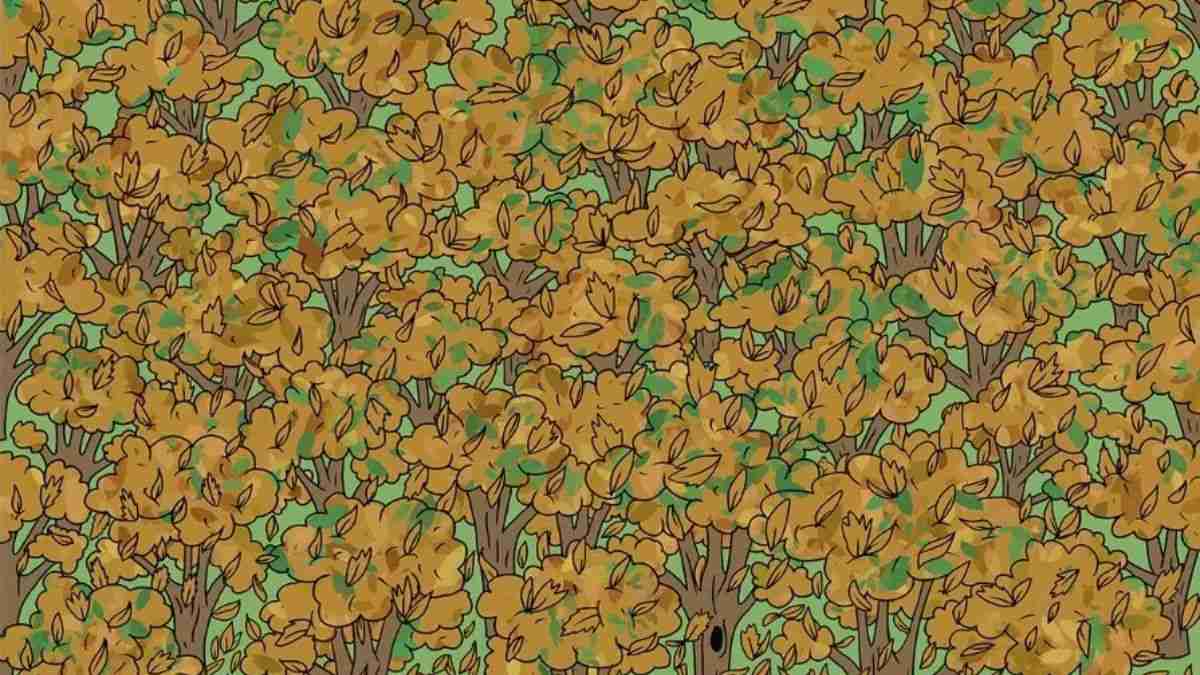 Only 1% With Hawk Eyes Vision Can Spot The Squirrel In 8 Seconds!