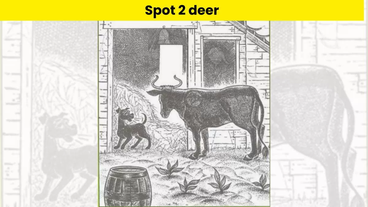 Can you spot 2 deer in this brain teaser puzzle?