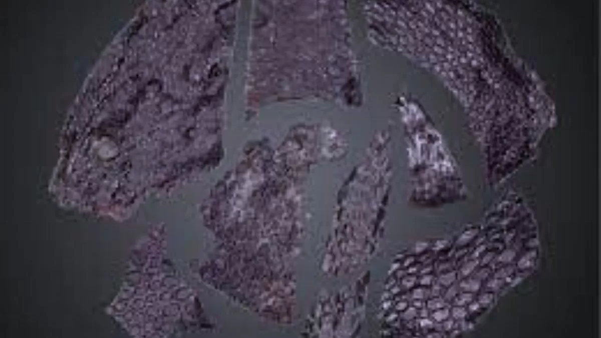 Oldest skin fossil found. What animal was it? What's special?