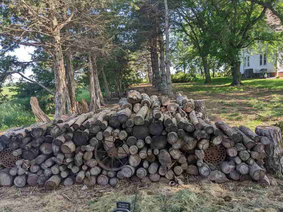 Below log. Below log