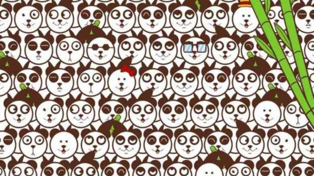 Only 2% With Laser Vision Can Spot The Football Hidden Among Pandas In 8 Seconds!