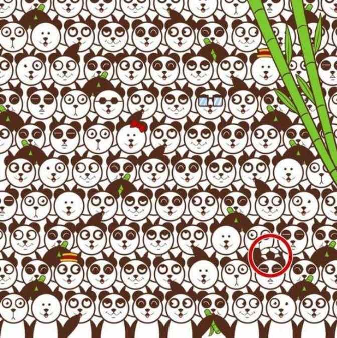 Only 2% With Laser Vision Can Spot The Football Hidden Among Pandas In ...