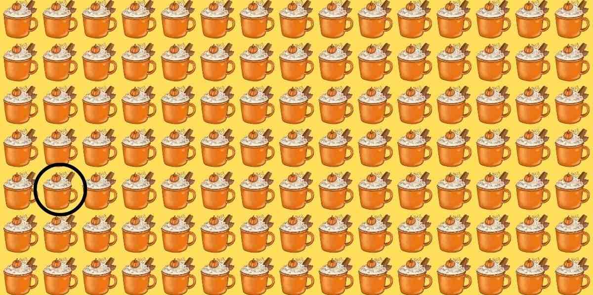 picture puzzles with answers