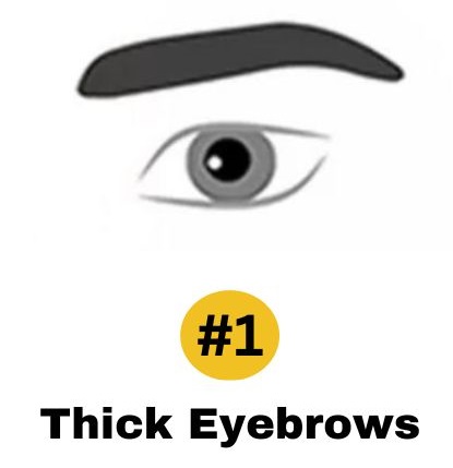 Personality Test: Your Eyebrows Reveal Your Hidden Personality Traits