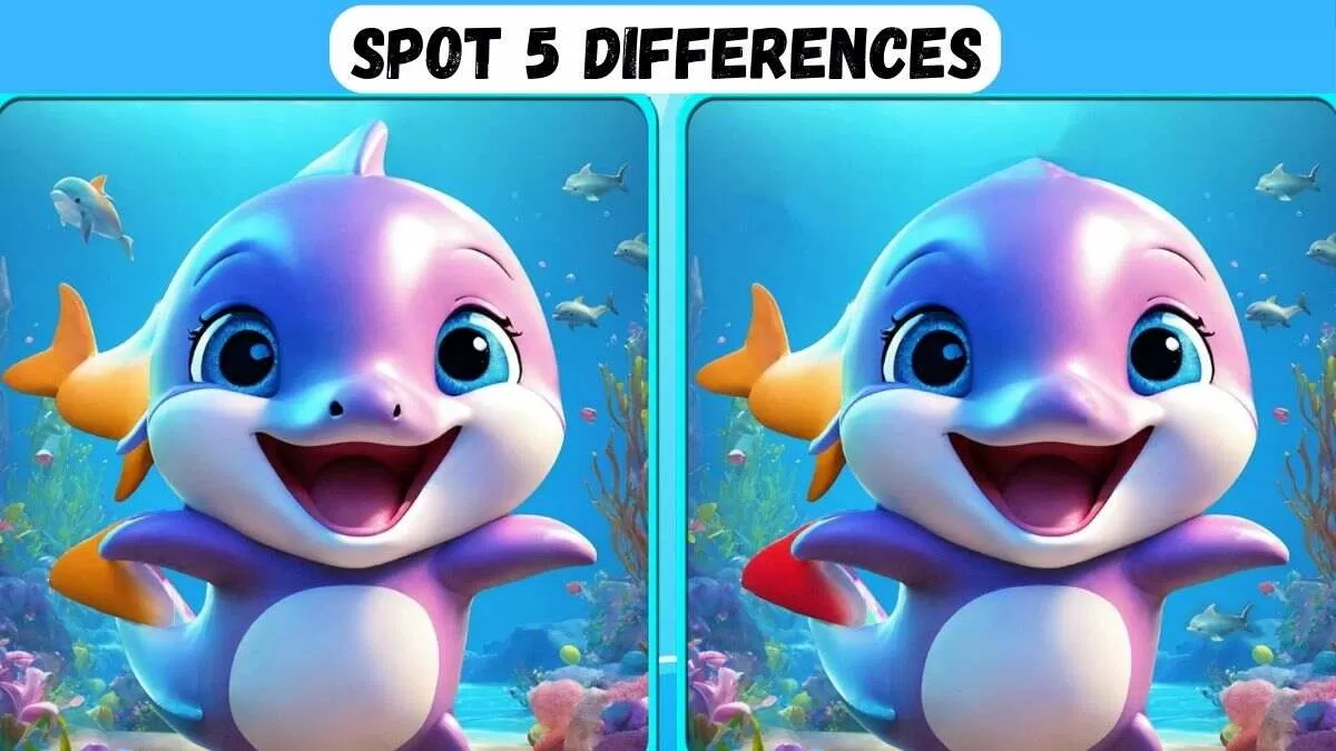 Spot 5 Differences Within 13 Seconds