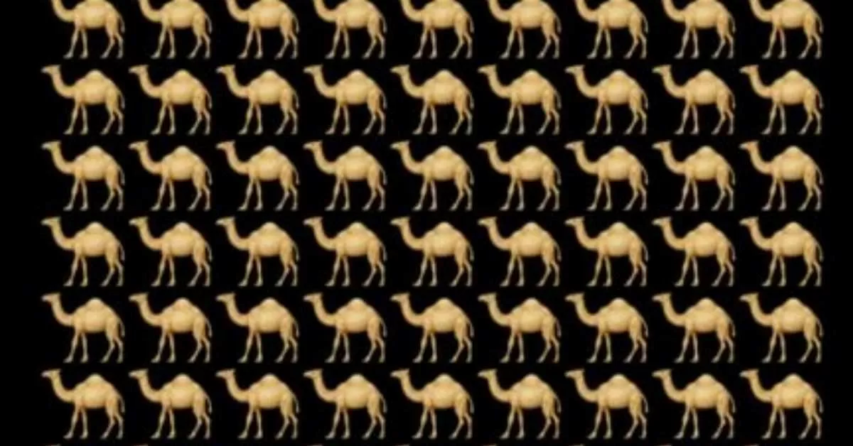 Find the Different Camel Within 7 Seconds