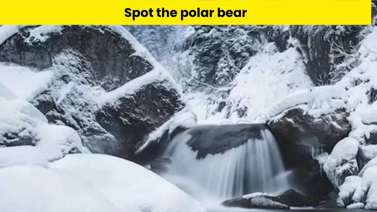 Find the polar bear hidden in the snowy mountains