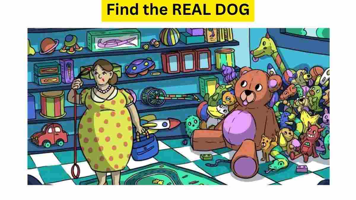 Optical Illusion IQ Test: Find the REAL DOG hidden in the toy store within 11 Seconds. Try Your Skills!