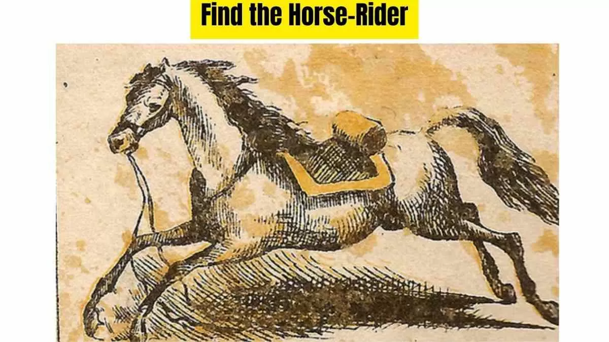 Look For Hidden Horse-Rider!