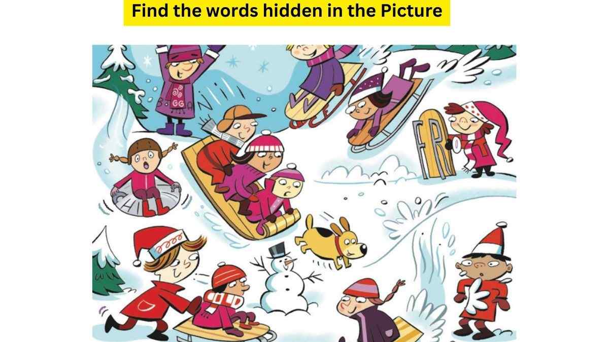  Mental IQ Test: You Have IQ Of Newton If You Can Find All SIX Words Hidden In The Winter Park Picture. 6 Seconds Left!