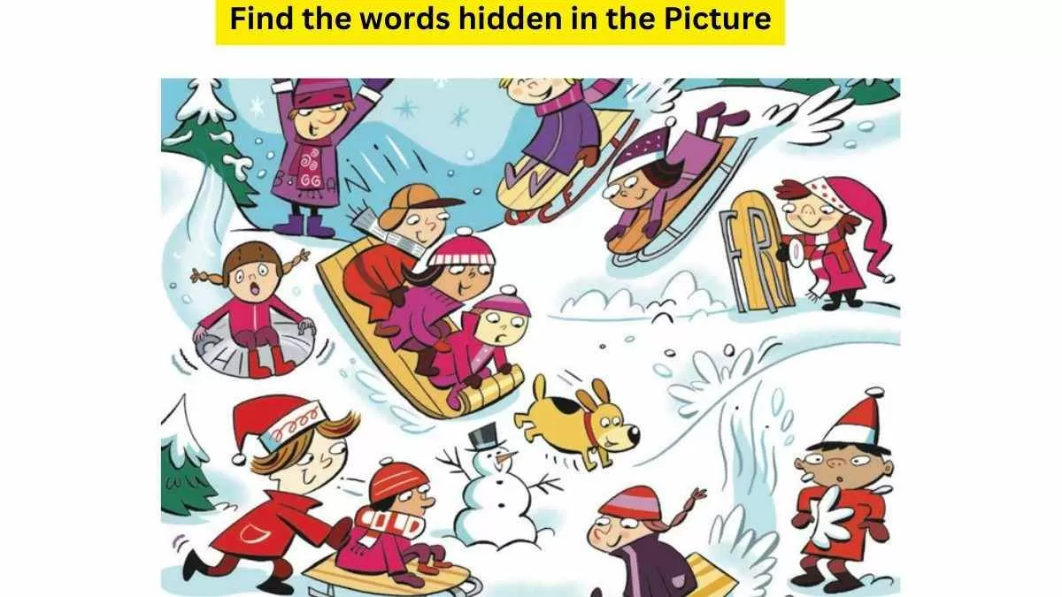 https://img.jagranjosh.com/images/2024/January/212024/find-hidden-words-in-winter-image.webp