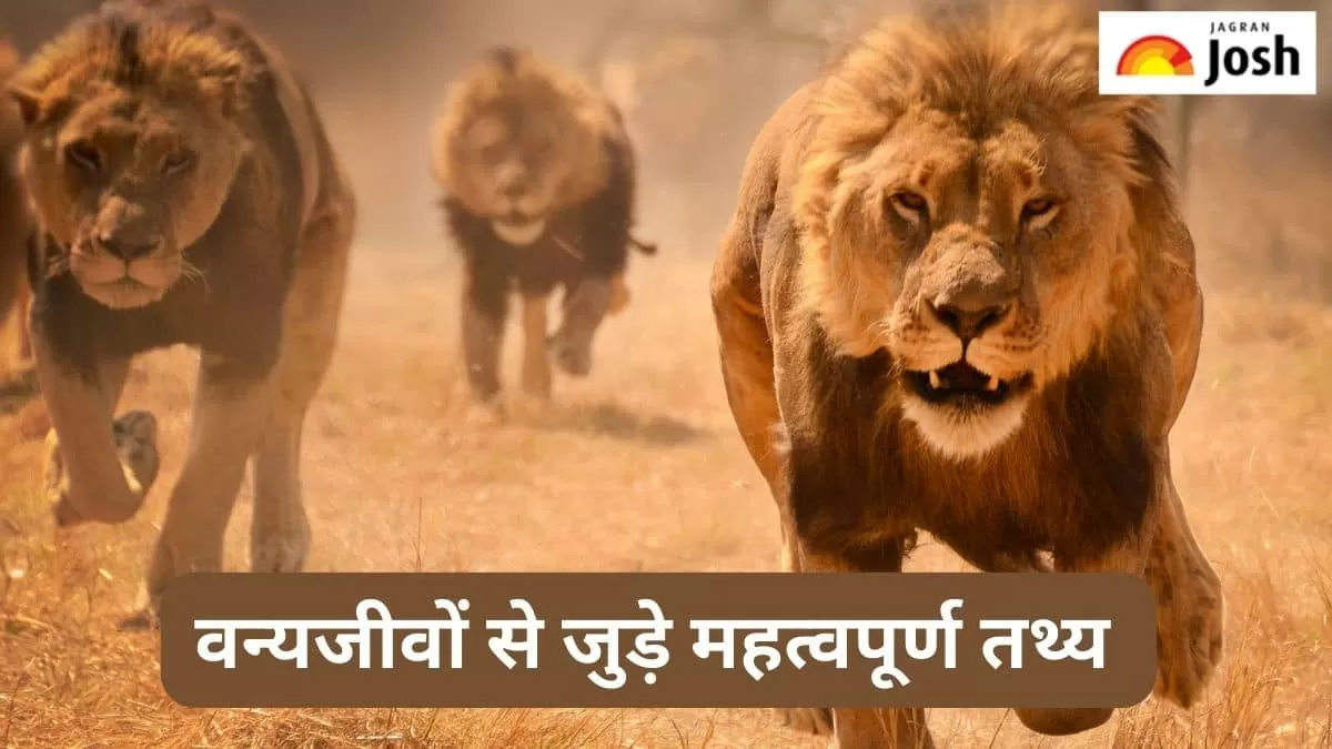 वन्यजीवों से जुड़े तथ्य