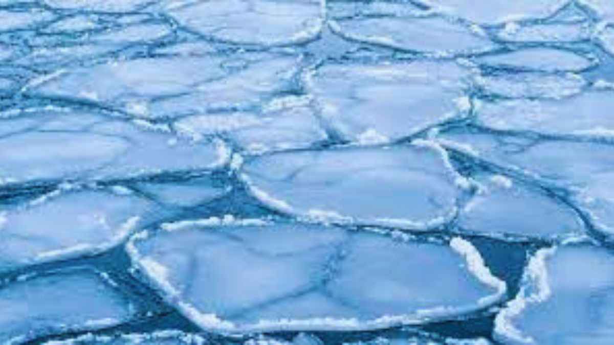 This fungi is capable of freezing water! Here's everything to know