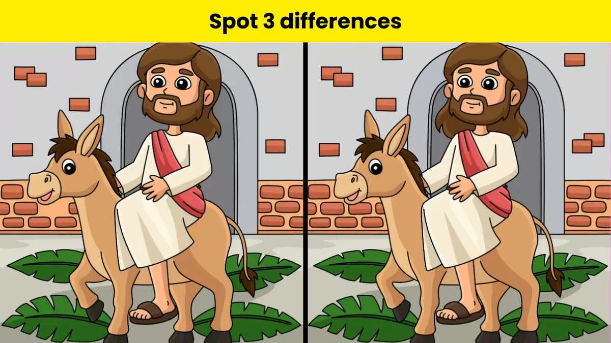 Spot 3 differences in 10 seconds