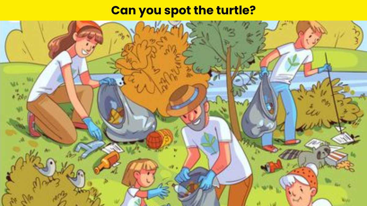 Optical Illusion: Can you spot the turtle hidden in the park within 7 seconds?