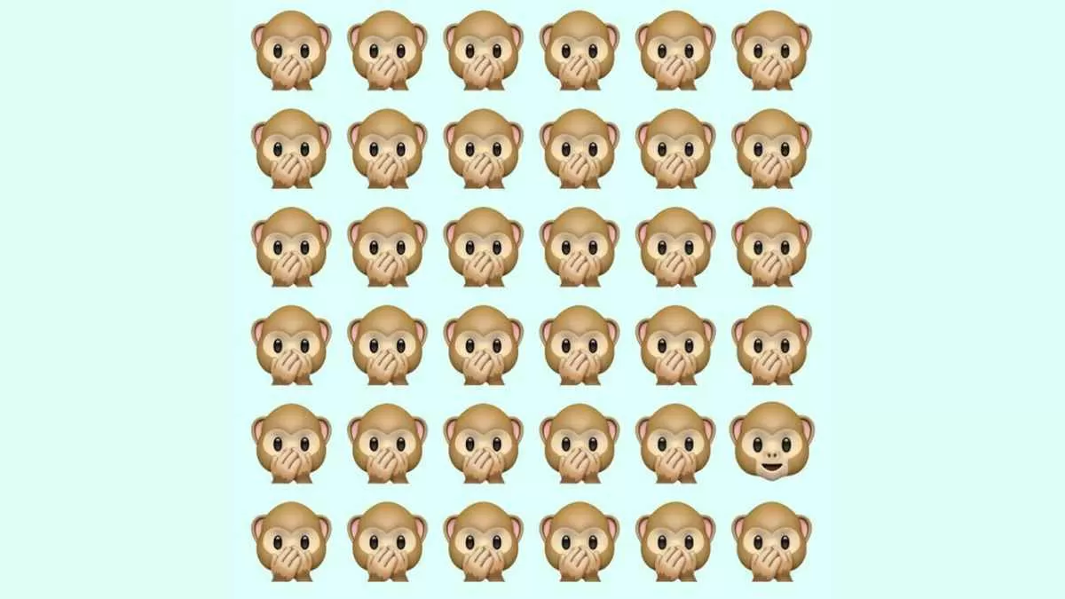 Find different monkey
