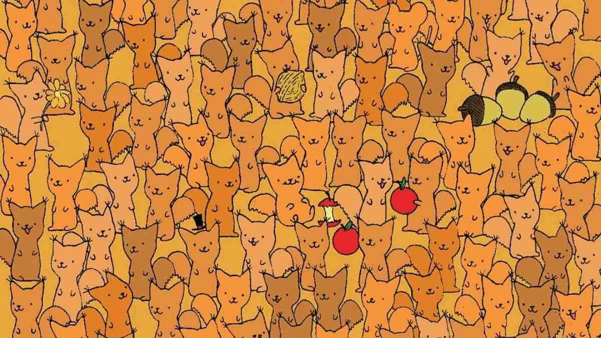 Puzzle Eye Test: Can You Spot A Mouse Hidden Among These Cats Within 11 Seconds?