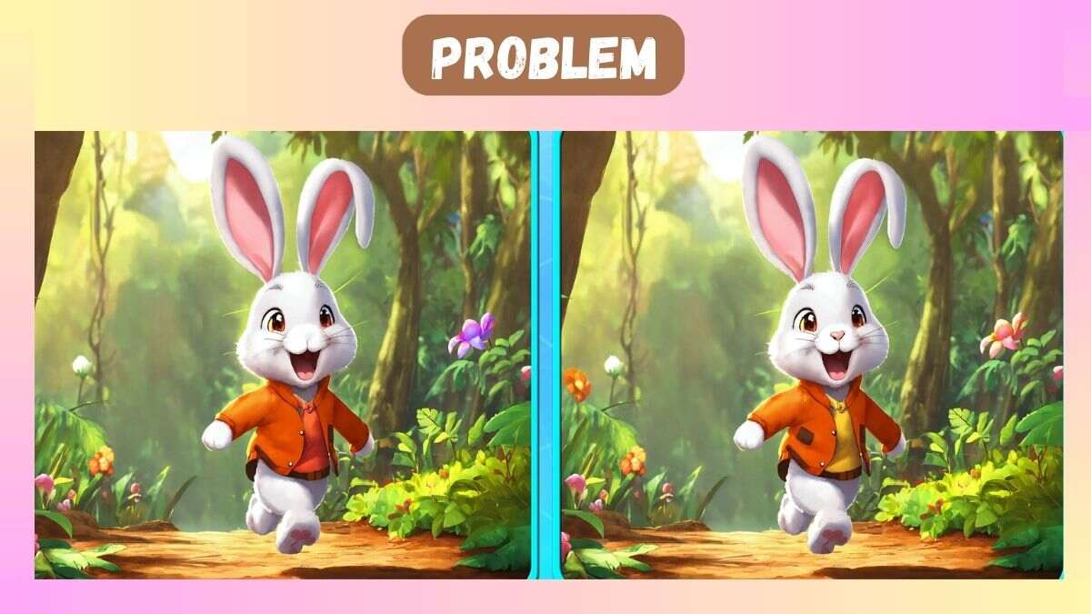 Spot 5 Differences Within 25 Seconds