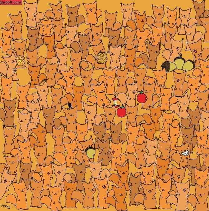 picture puzzles to test iq