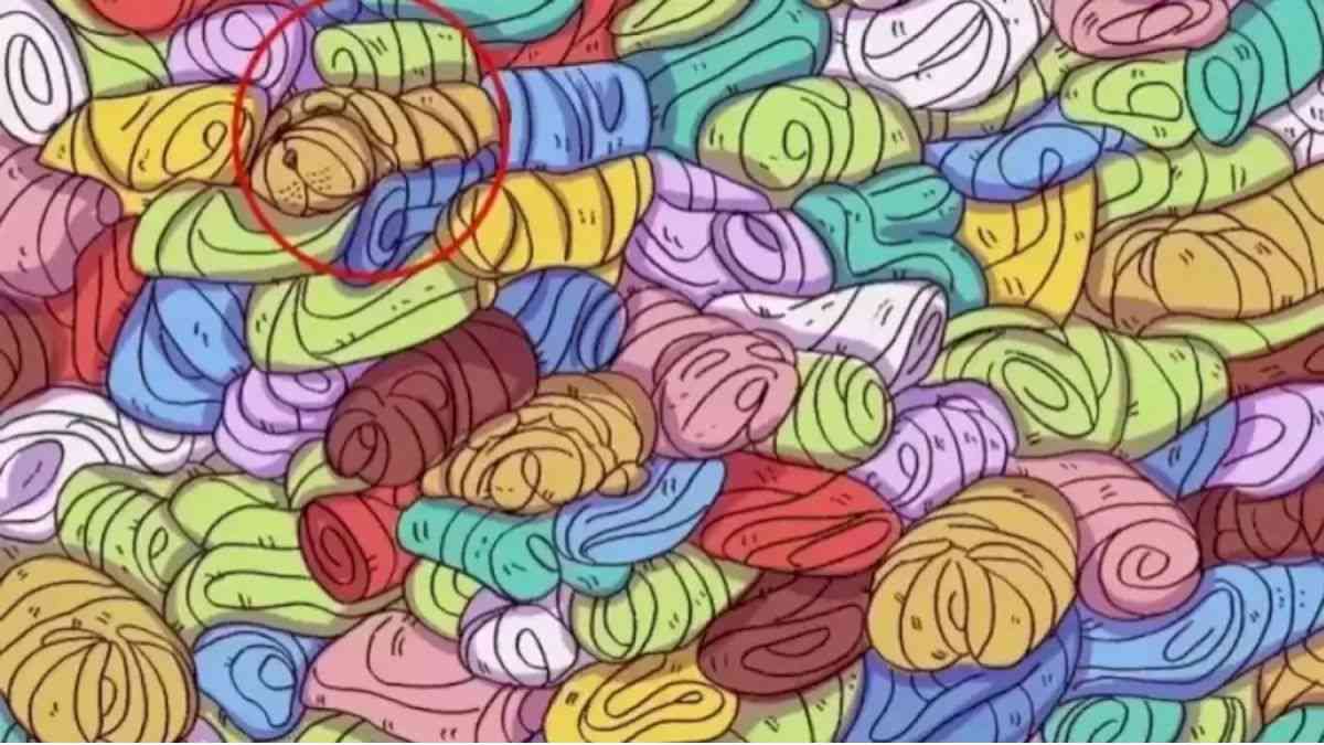 optical illusions with answers