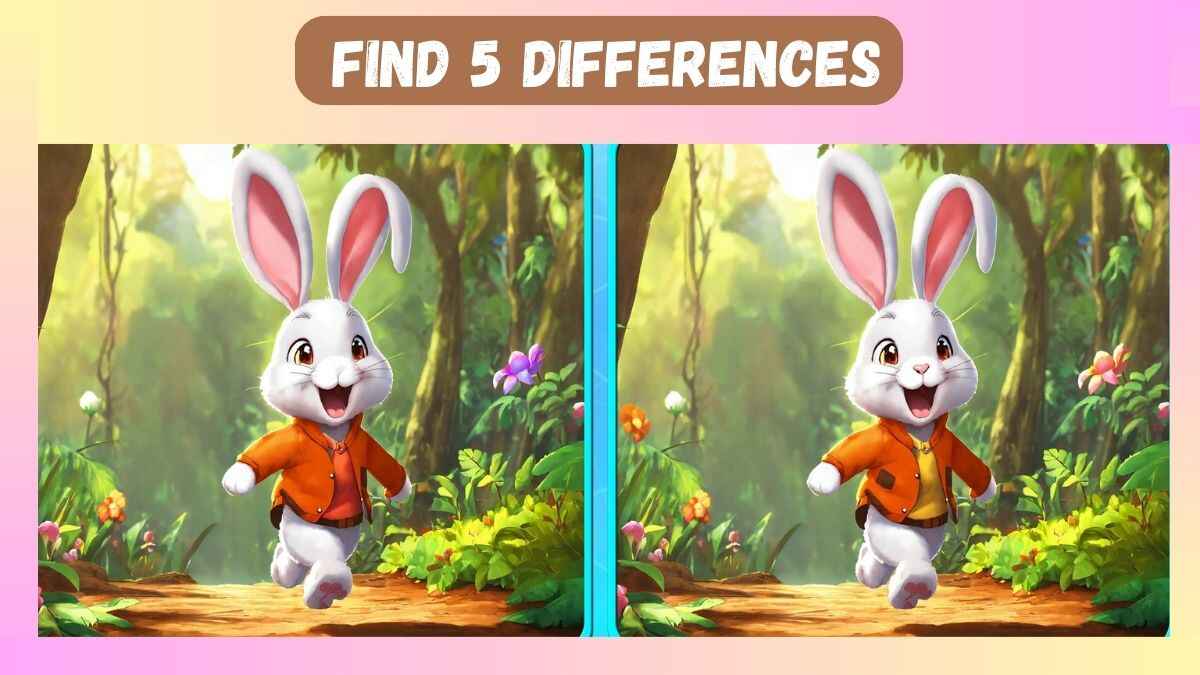 Spot 5 Differences in 25 Seconds In This Sailor Picture