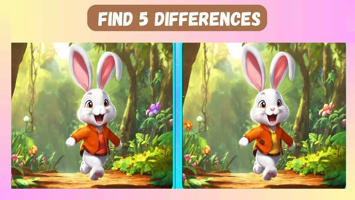 Spot 5 Differences Within 25 Seconds