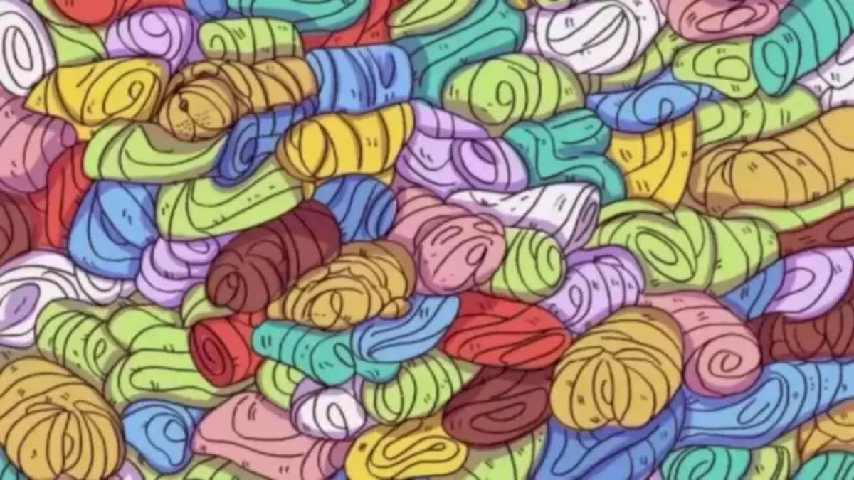 Can you spot a dog hidden among towels?