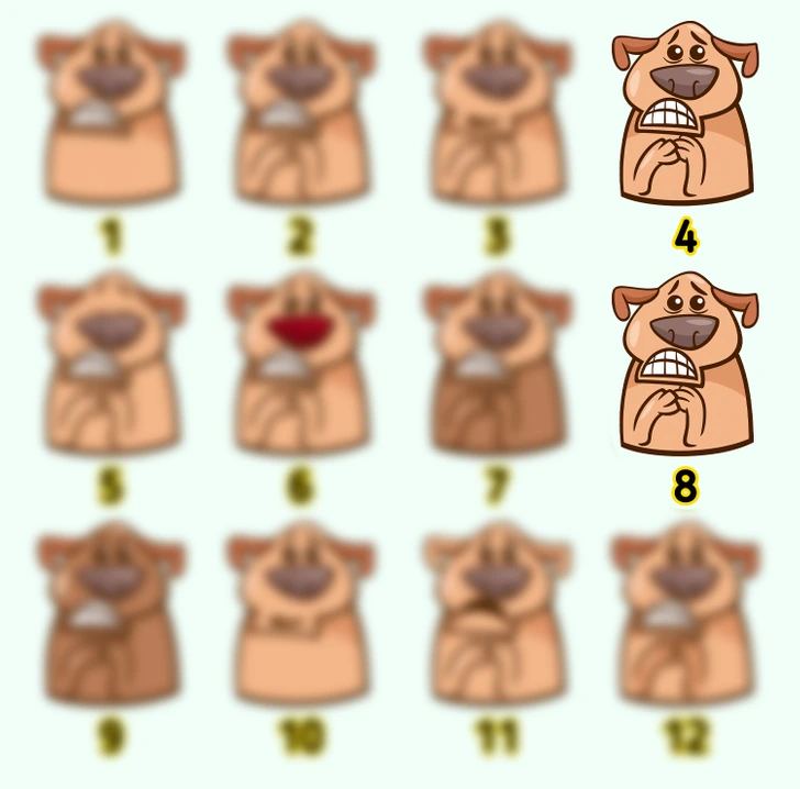 the identical dogs are here