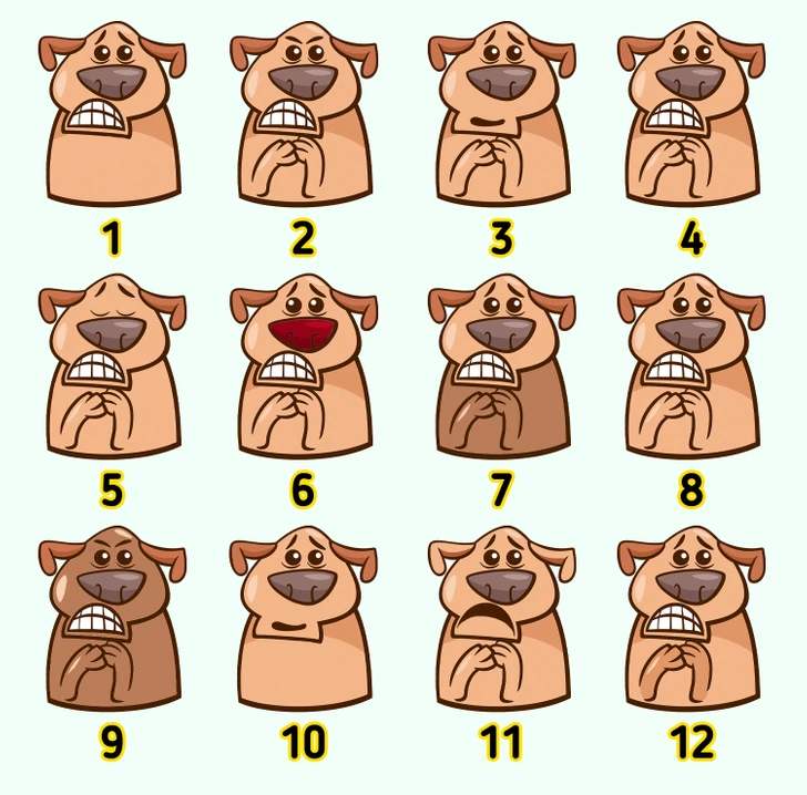 find the identical dogs in the picture